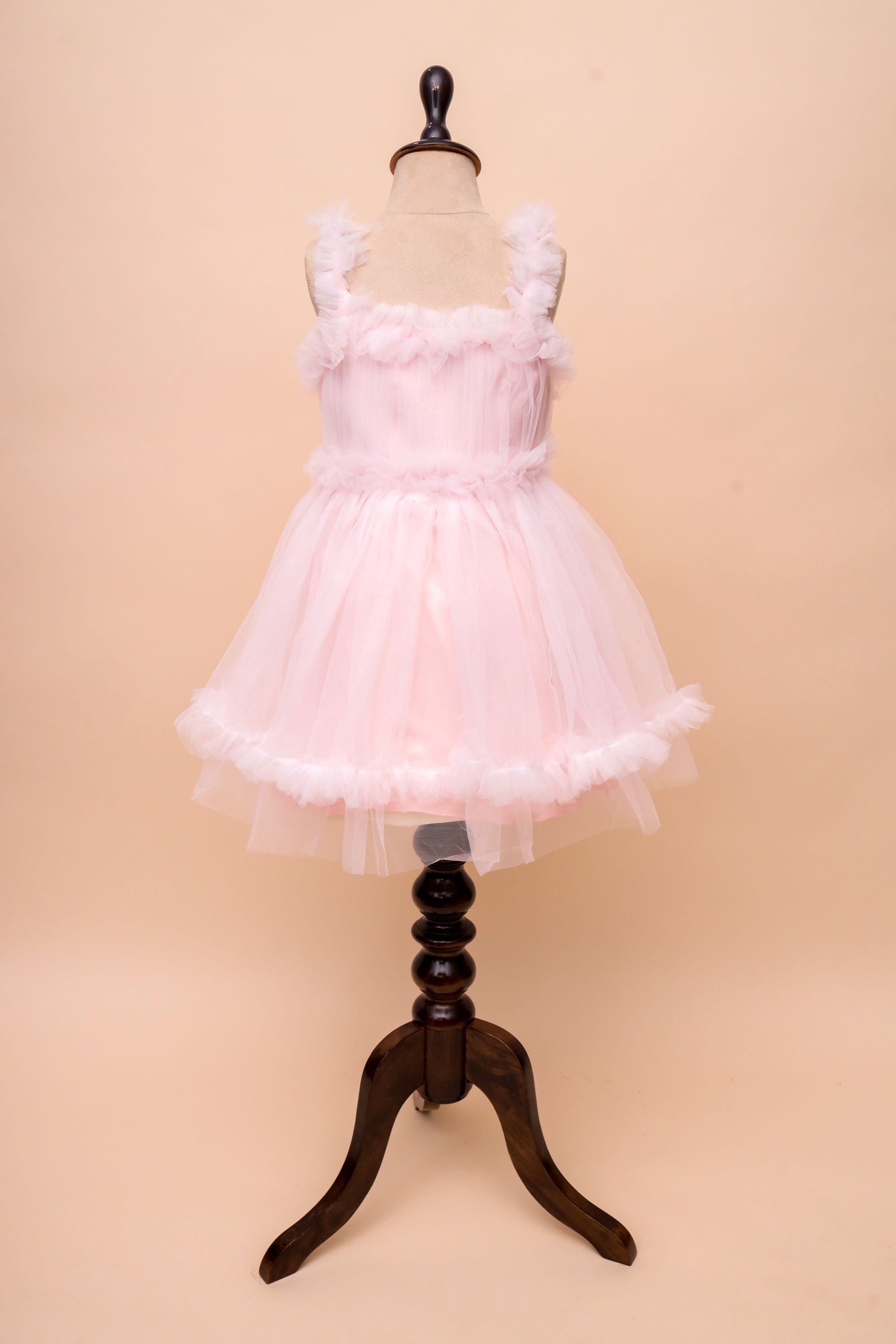 Pastel Tulle Frock Dress