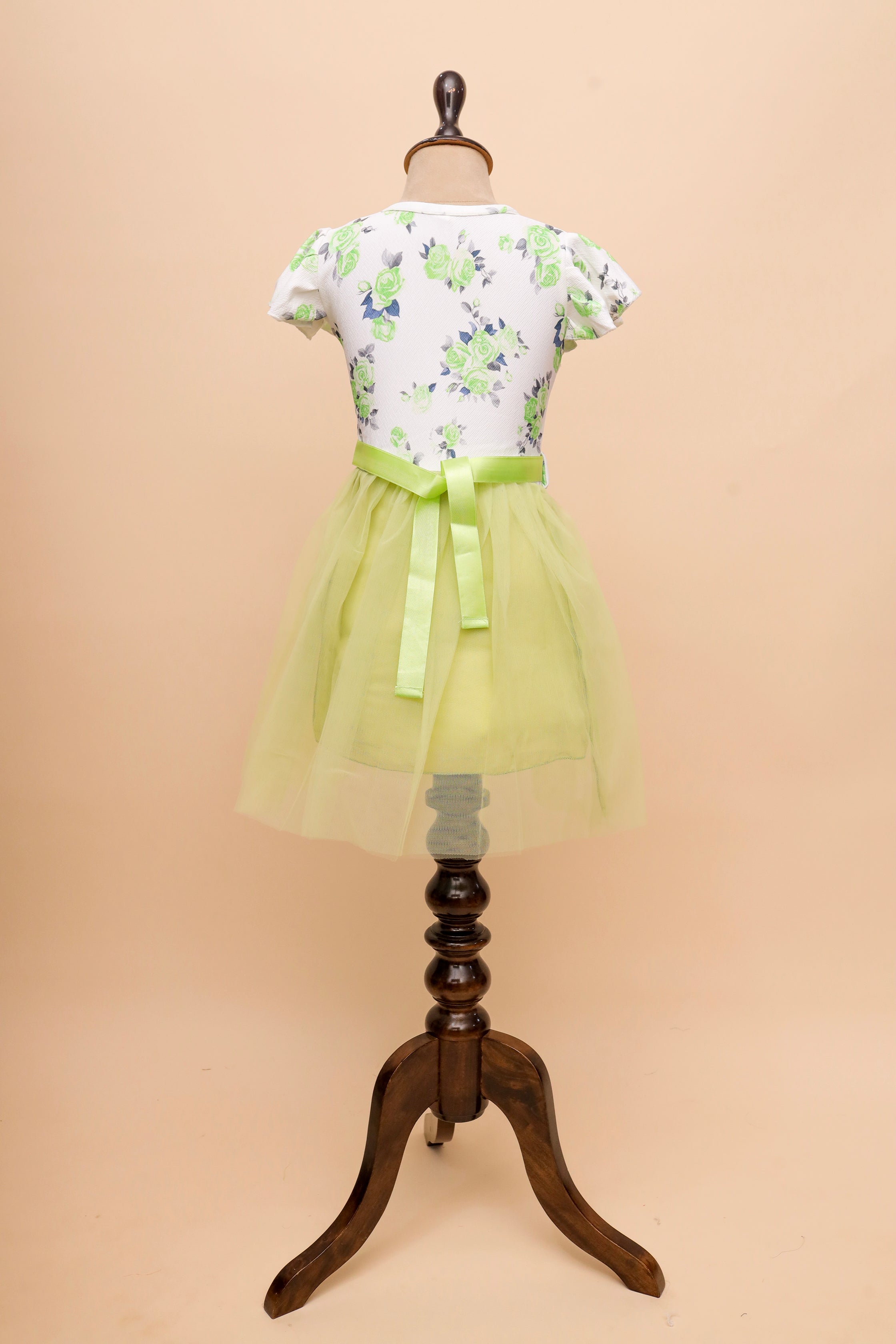 Mint Garden Tulle Frock